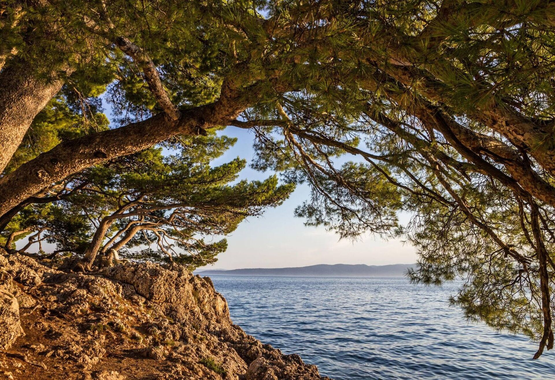 Dalmatian coast